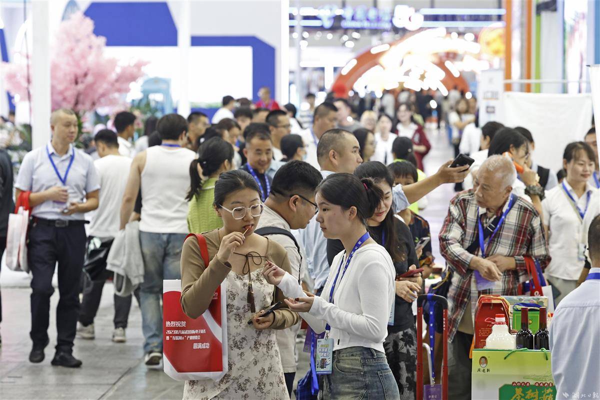 梯子游戏安全网站